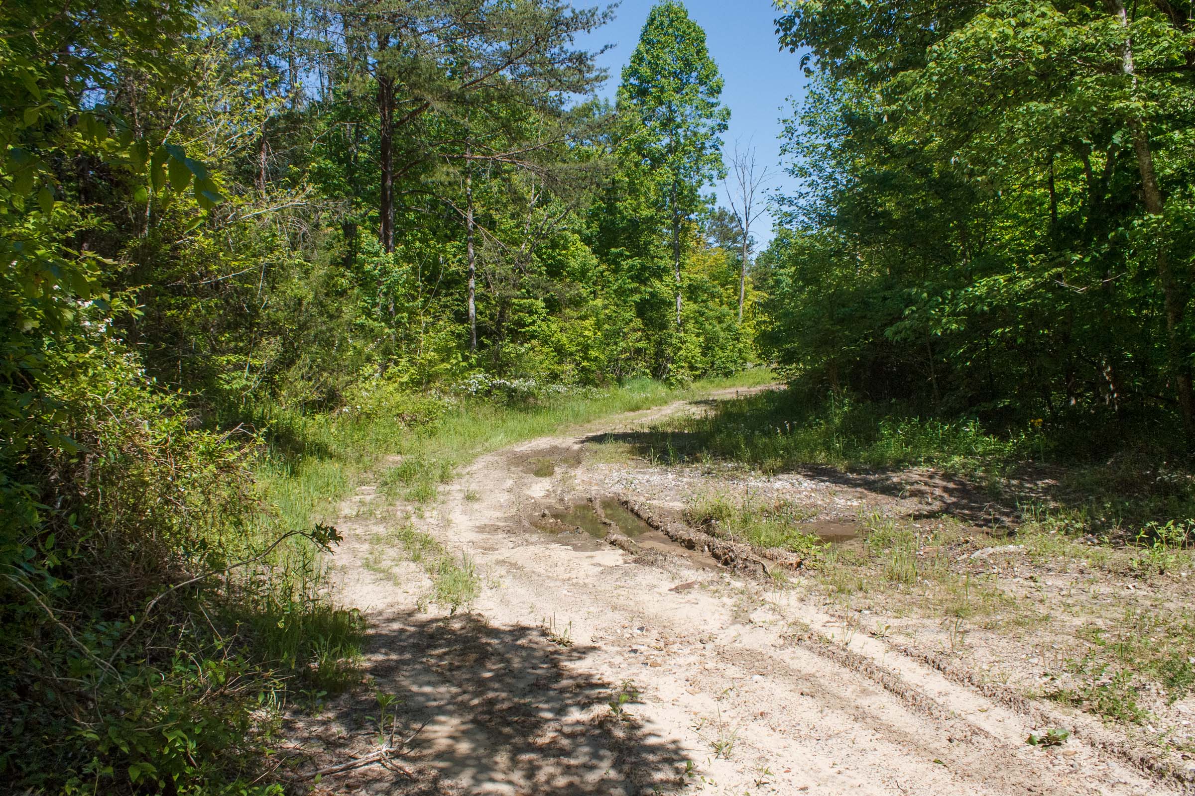 Tract 10 at Riverbend in Wayne County, Kentucky