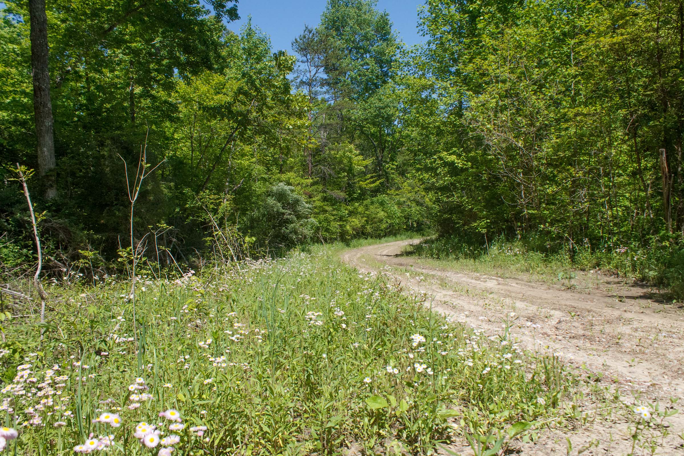 Tract 12 at Riverbend in Wayne County, Kentucky