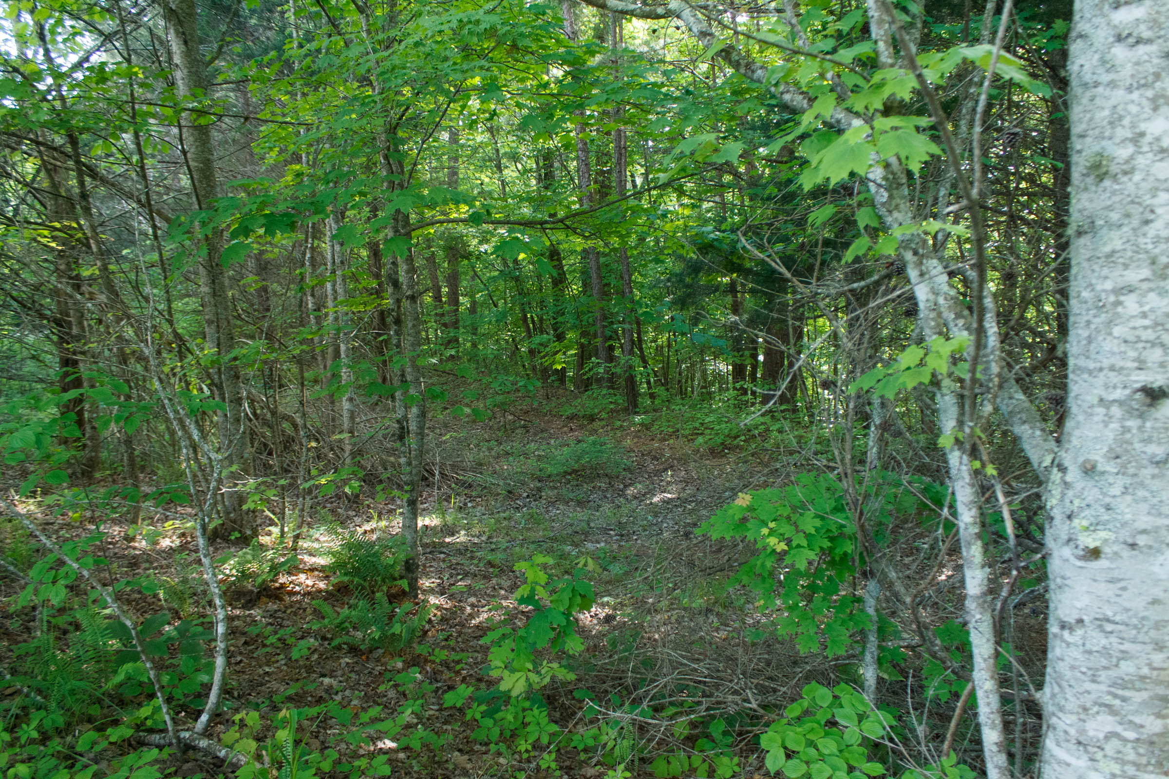 Tract 22 at Riverbend in Wayne County, Kentucky