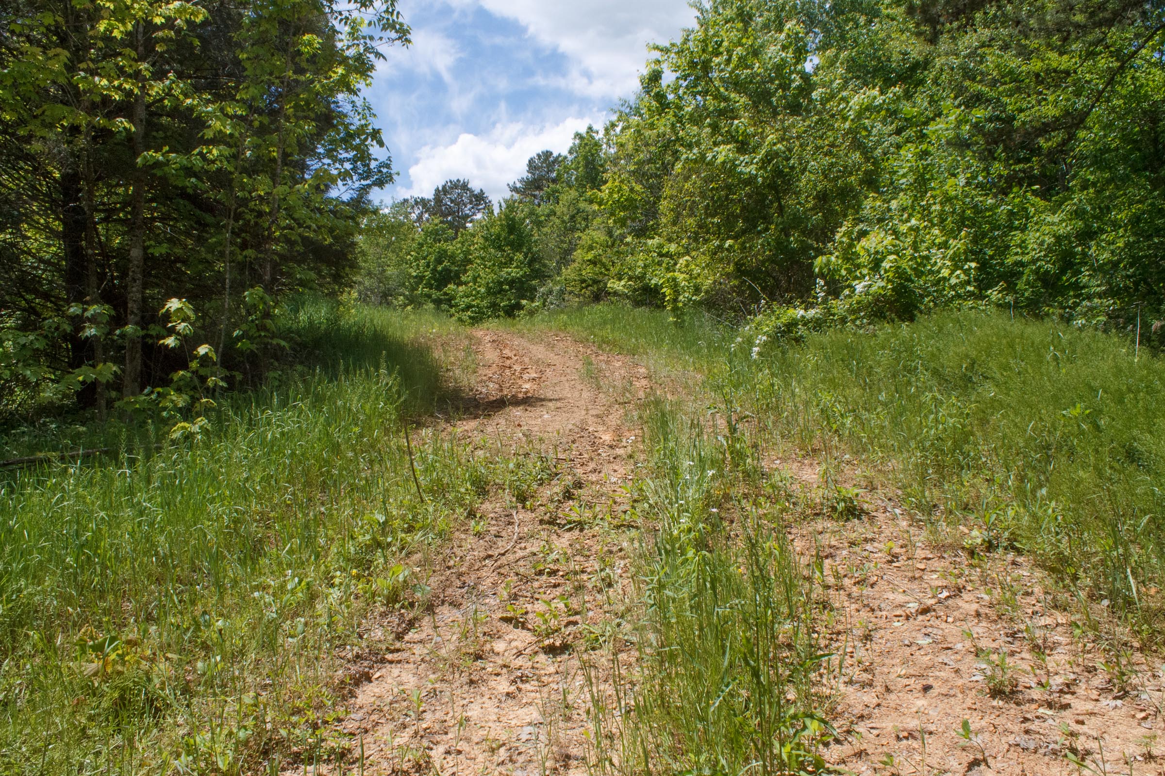 Tract 23 at Riverbend in Wayne County, Kentucky
