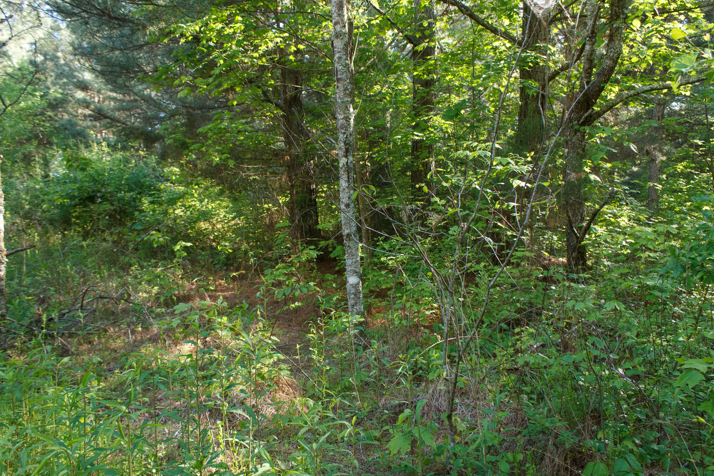 Tract 28 at Riverbend in Wayne County, Kentucky