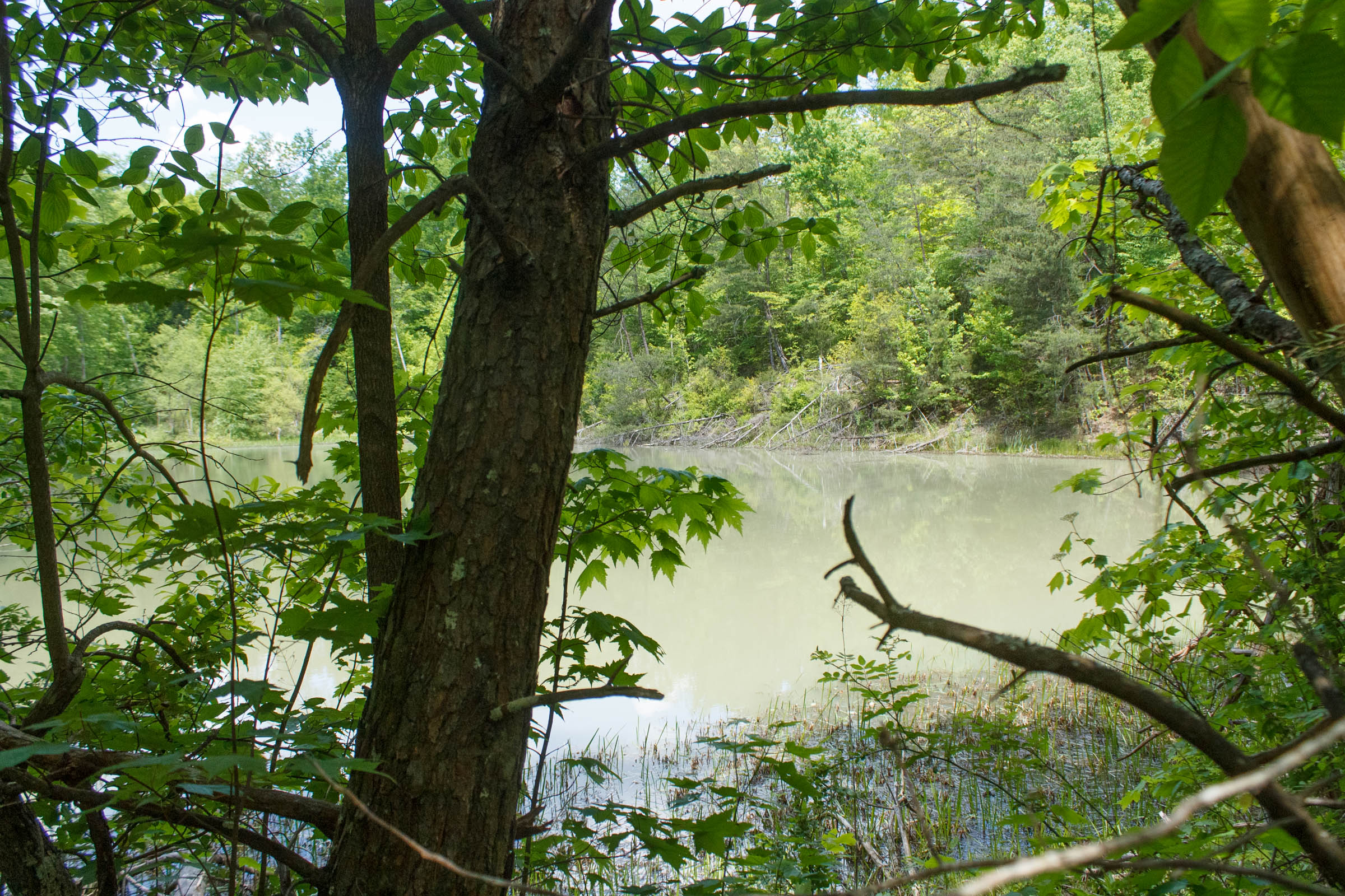 Tract 33 at Riverbend in Wayne County, Kentucky