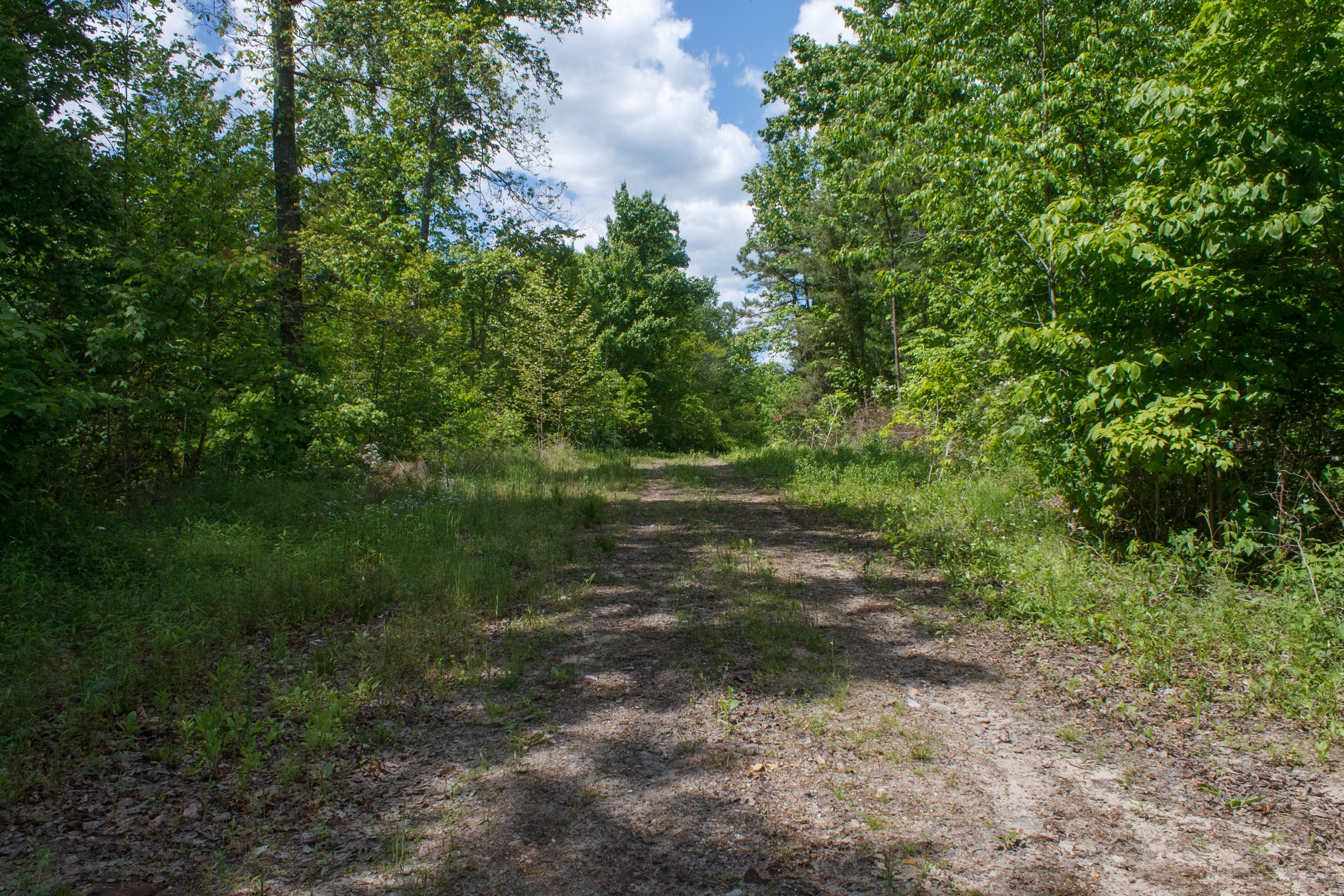 Tract 7 at Riverbend in Wayne County, Kentucky