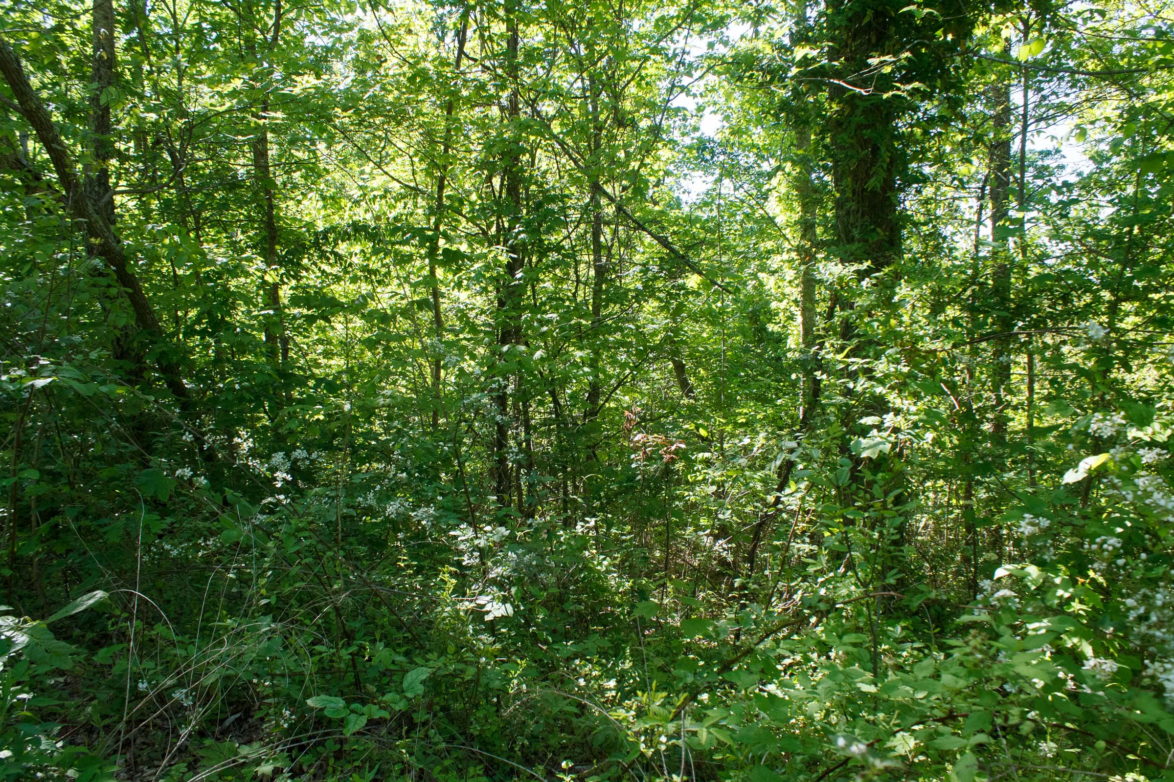 Tract 8 at Riverbend in Wayne County, Kentucky