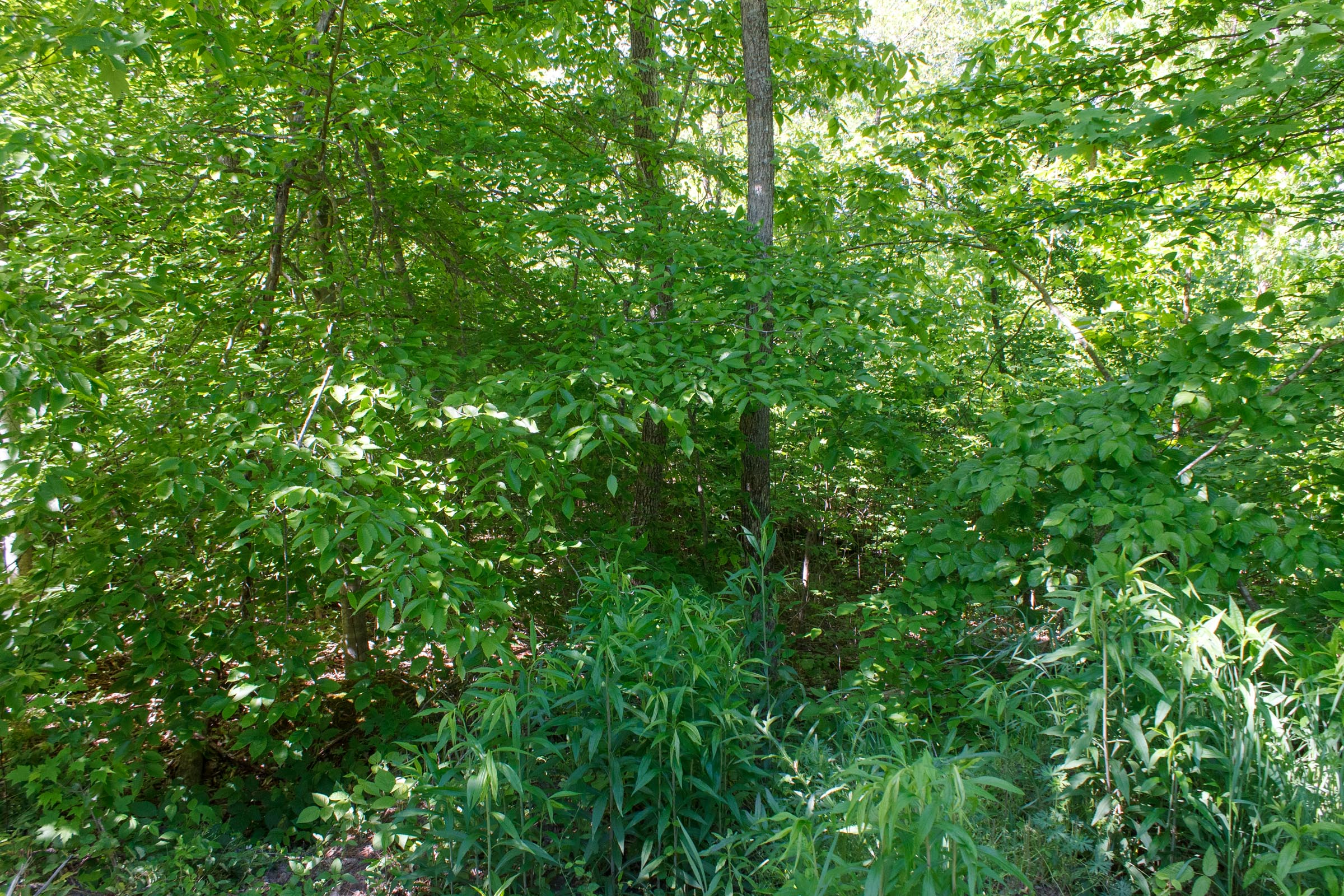 Tract 9 at Riverbend in Wayne County, Kentucky